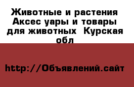 Животные и растения Аксесcуары и товары для животных. Курская обл.